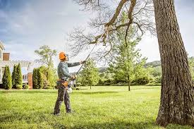 Best Tree Removal Service  in Strum, WI