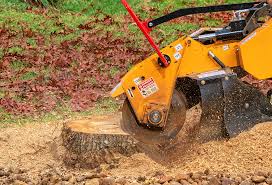 Grass Overseeding in Strum, WI