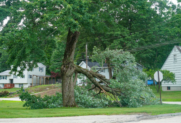 Best Utility Line Clearance  in Strum, WI